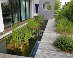 Bassin de jardin par Horizon nature SARL