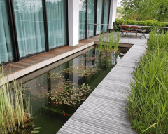 Bassin de jardin par Horizon nature SARL