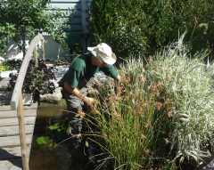 Bassin de jardin par Horizon nature SARL