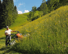 Fauchage par Horizon Nature SARL