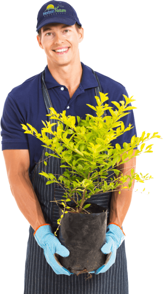 jardinier jardinier