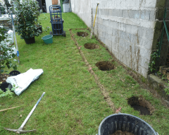 Plantations par Horizon Nature SARL
