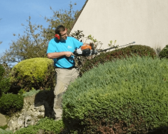 Taille & élagage par Horizon Nature SARL