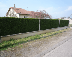 Taille & élagage par Horizon Nature SARL