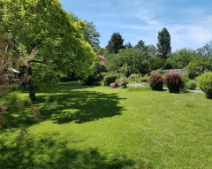 Tonte par Horizon Nature SARL